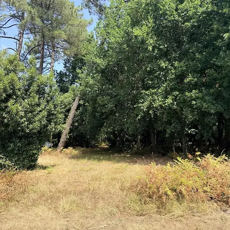 Coeur De Nature