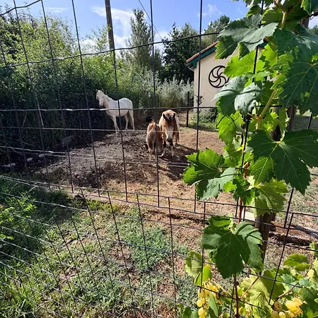 Coeur De Nature Medoc Holiday home Vendays-Montalivet